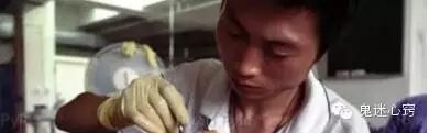 死尸工厂_尸骨工厂电影_尸体工厂