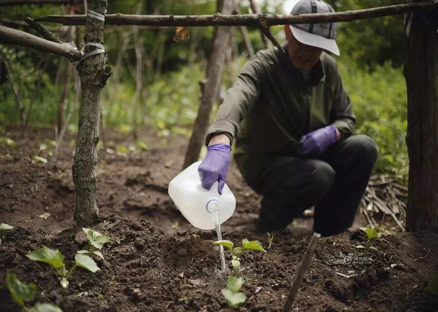 中国留学生的陪读父母：酸甜苦辣，后悔也得坚持