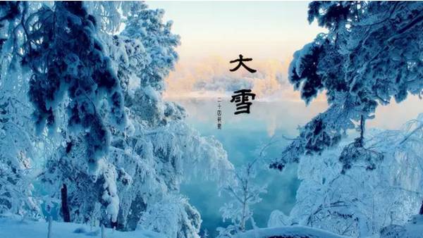 今日大雪，喝一杯冬日暖茶让身体充溢阳气