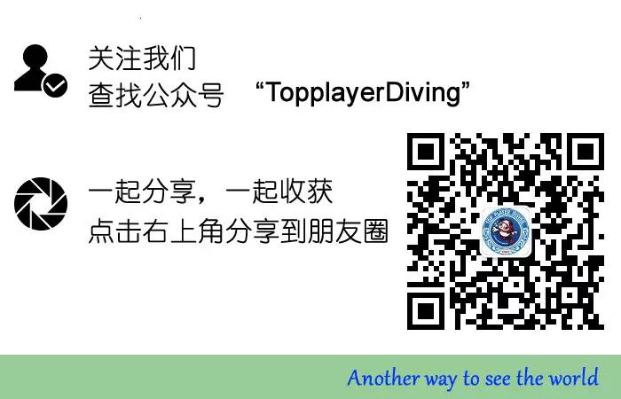 【第354期】内有珊瑚盗采 外有怀孕蝠鲼被杀 心痛不如行动 ……
