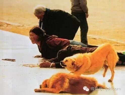 ���裡����˵�����׶���������