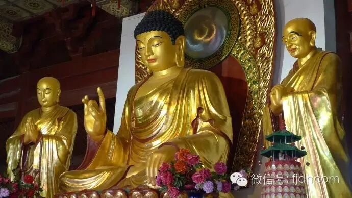 �����Ƿ�Ҫ����Ż����飿