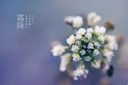 你造吗?生二胎是个技术活!-怀孕期