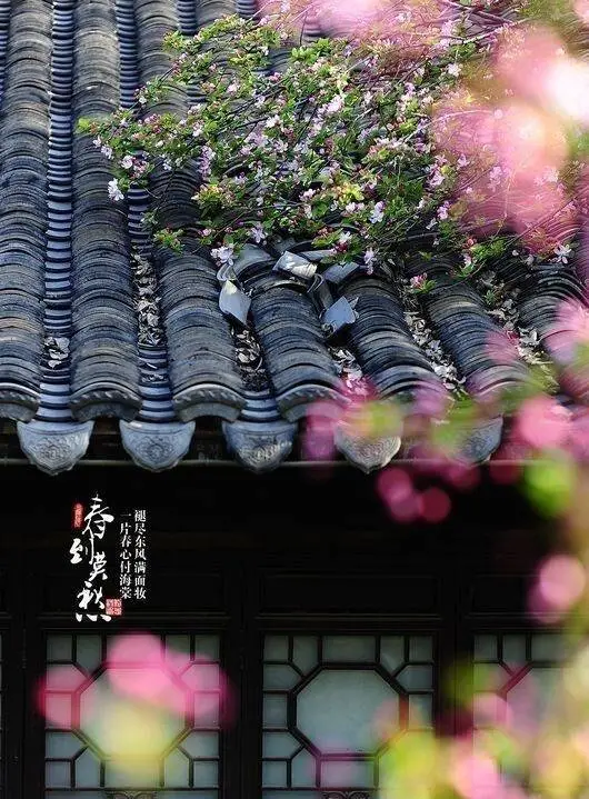 余秋雨:来生,依旧等你 - 月儿 - 月儿 余秋雨:来生,依旧等你 - 月儿 - 月儿