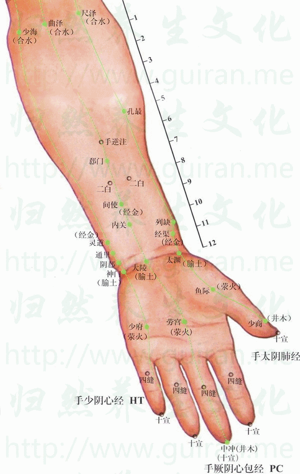 人体362穴位详解 高清彩图-心经