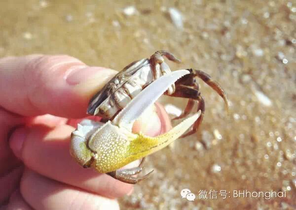 【鸿海天下】北海忘忧岛两天一晚露营攻略