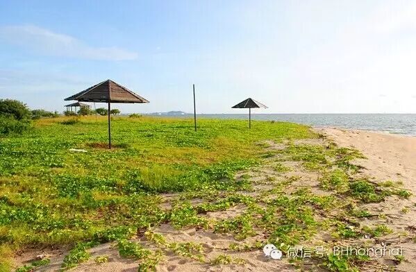 【鸿海天下】北海忘忧岛两天一晚露营攻略 【鸿海天下】北海忘忧岛两天一晚露营攻略