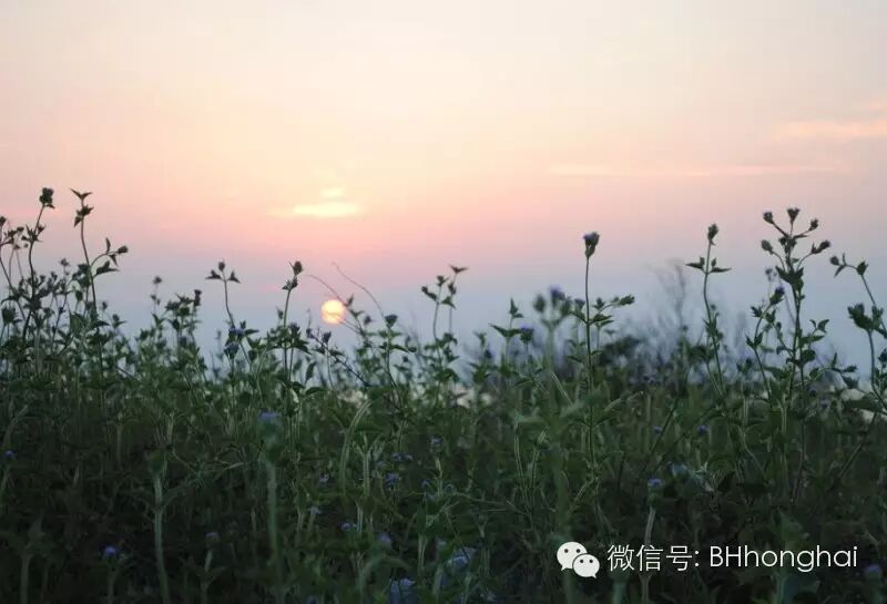 【鸿海天下】北海忘忧岛两天一晚露营攻略