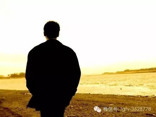 刘诗诗联手霍建华第三部