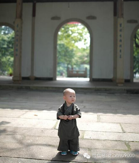 西禅寺超萌"小和尚",看过之后真想把自家小孩也送去少林寺了呀!
