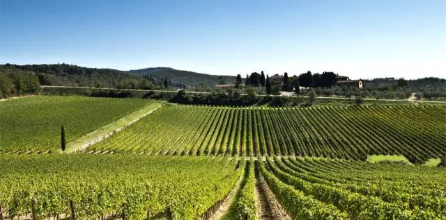 人都是被逼出来的