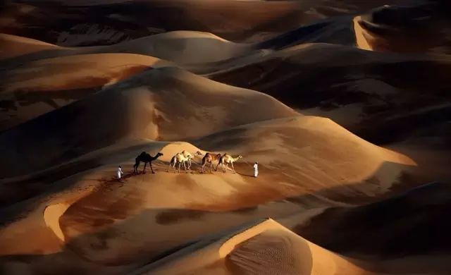 早间分享: 有八种话不要乱， 覆水难收