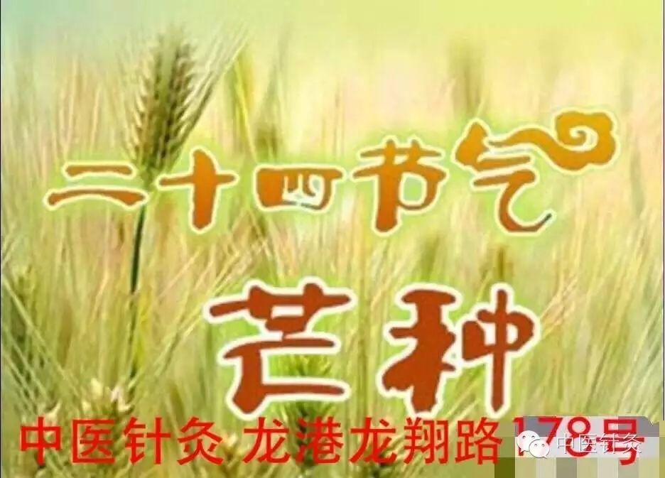 二十四节气“芒种”健脾利湿养肝药膳 保持心情舒畅: