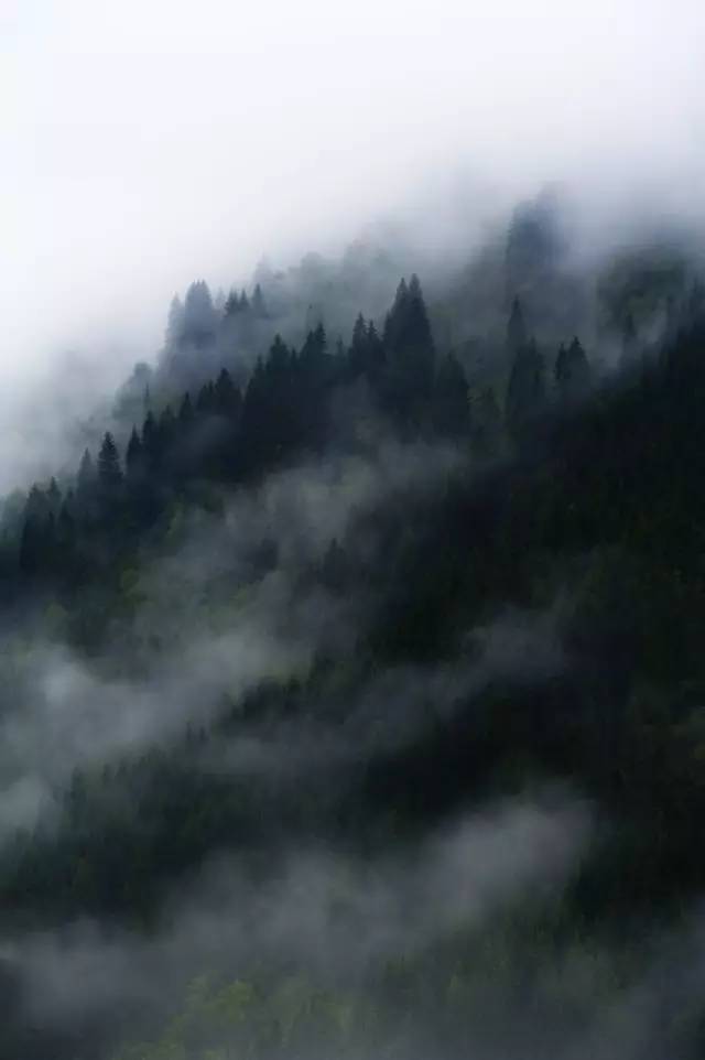 用中国的意境 看世界的风景 浓雾留白 让全世界的风景 沾染上中国画