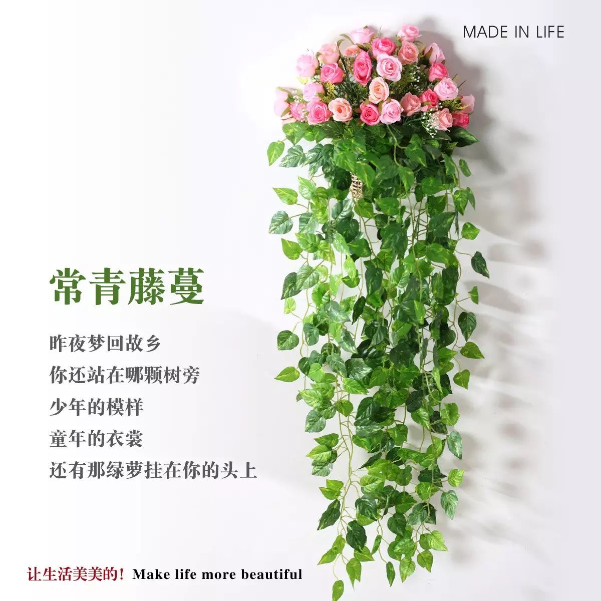 常青藤,铁树,金橘,石榴,半支莲,月季花,山茶,米兰,雏菊,腊梅,万寿菊