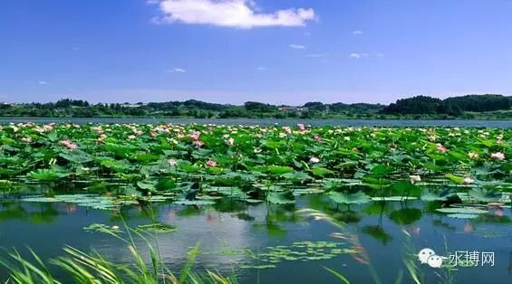 无缝气瓶生产商,密闭取样器,自动切水器,截油排水器