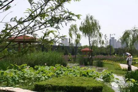 无缝气瓶生产商,密闭取样器,自动切水器,截油排水器