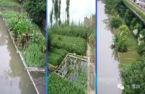 无缝气瓶生产商,密闭取样器,自动切水器,截油排水器