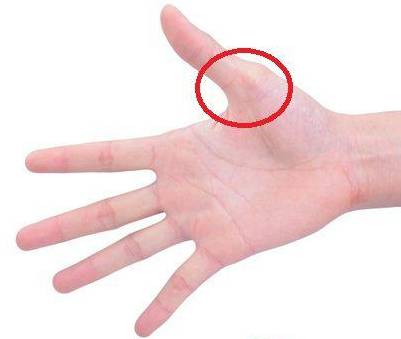 ✎ <wbr>肾气足，百病除，补肾十四法