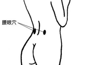 ✎ <wbr>肾气足，百病除，补肾十四法