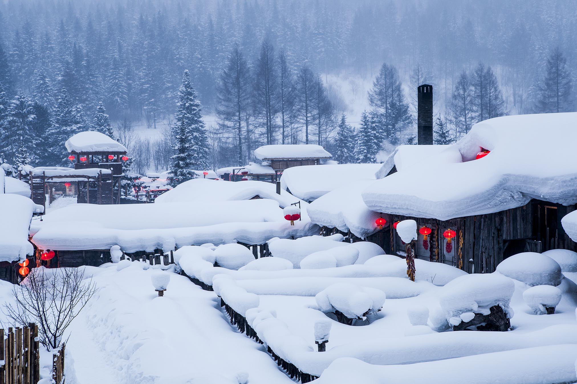 哈尔滨,亚布力滑雪,雪乡,太阳岛,冰雪大世界双卧六日游