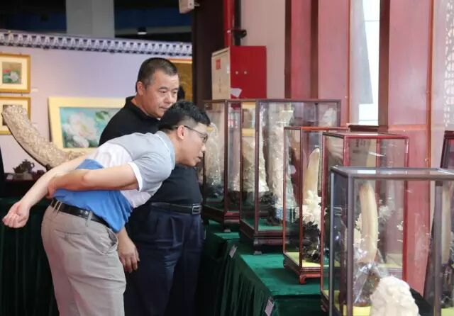 好消息 | 根居地集团受邀参加2016中山荷文化旅游节