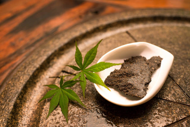 中医：常饮安化黑茶可除体内“垃圾”