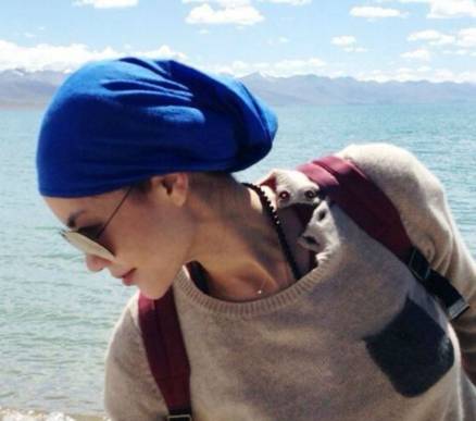 视频:王菲第三届世界佛教论坛现场演唱《心经》