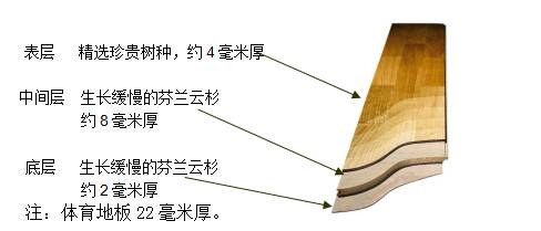 揚子地板強化復合_得高強化木地板_李洋地板有強化的嗎