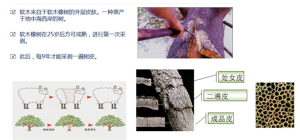 李洋地板有強化的嗎_揚子地板強化復合_得高強化木地板