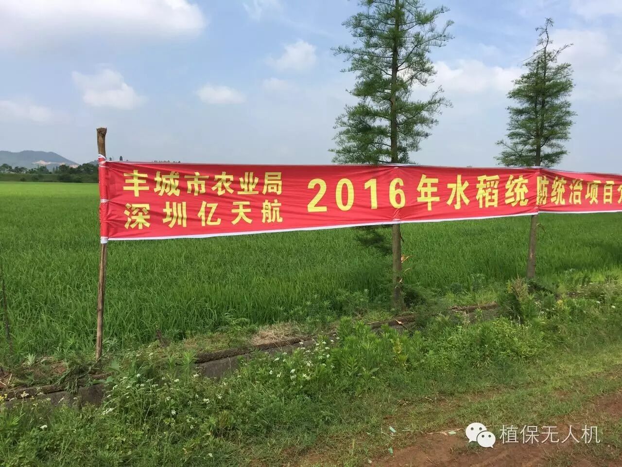 江西省豐城市農(nóng)業(yè)局與億天航無(wú)人機(jī)植保隊(duì)開展水稻統(tǒng)防統(tǒng)治推廣示范活動(dòng)