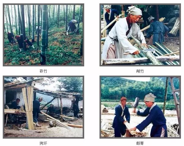 科普自由行第七期开始报名