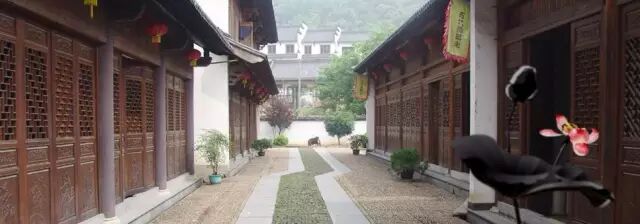 科普自由行第七期开始报名