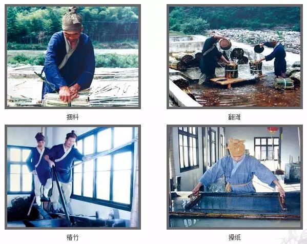 科普自由行第七期开始报名