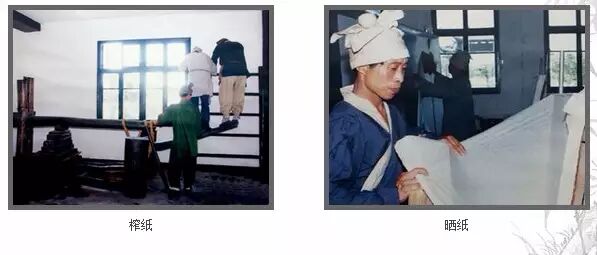 科普自由行第七期开始报名