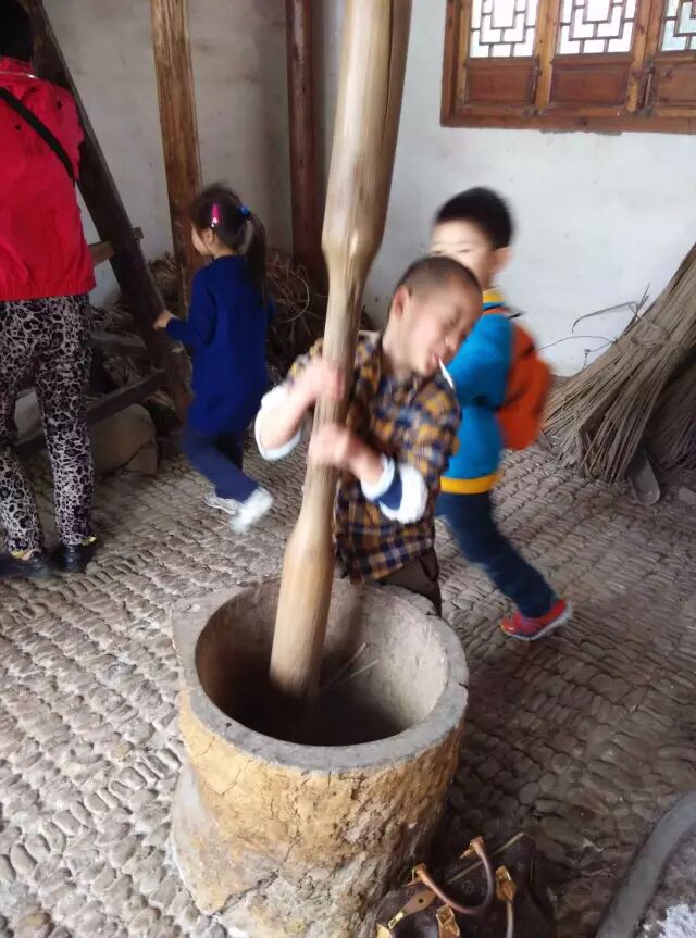 科普自由行第七期开始报名