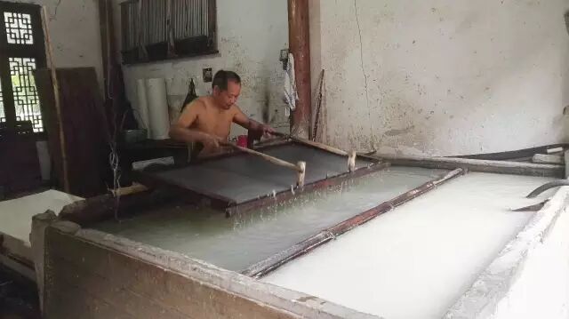 科普自由行第七期开始报名