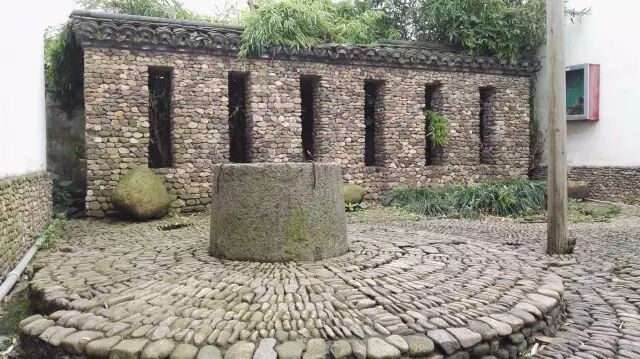 科普自由行第七期开始报名