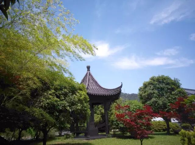 科普自由行第七期开始报名