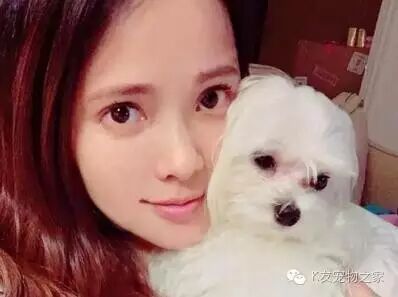 【狗狗知识】伊能静示范孕妇养狗的正确方式