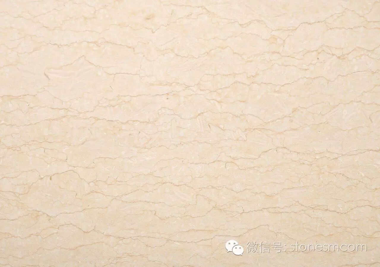 金线米黄