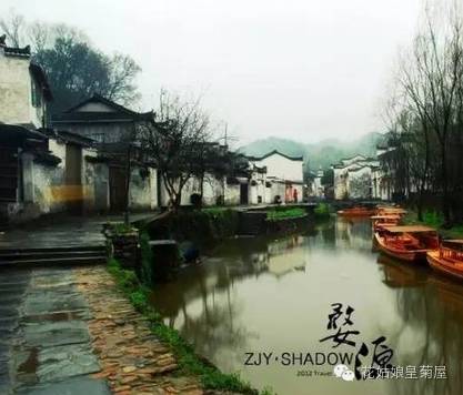 婺源皇菊的8种吃法，只有资深吃货才知道