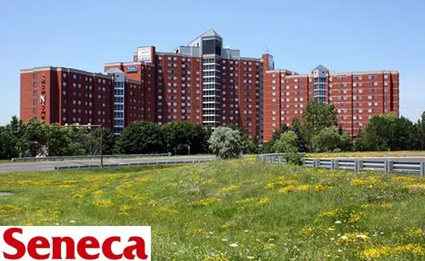 就读加拿大社区学院/大专你必须知道的一些事