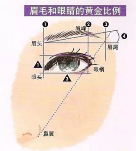 手把手教你修眉，想要漂亮眉形快來學(xué)！