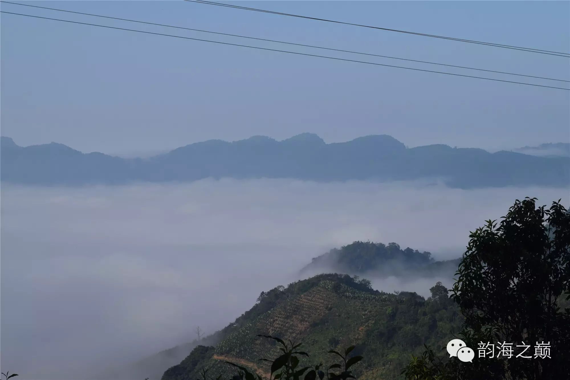 倚邦茶山