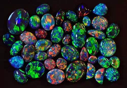 翡翠居然是新西兰的国石!! 翡翠居然是新西兰的国石!!