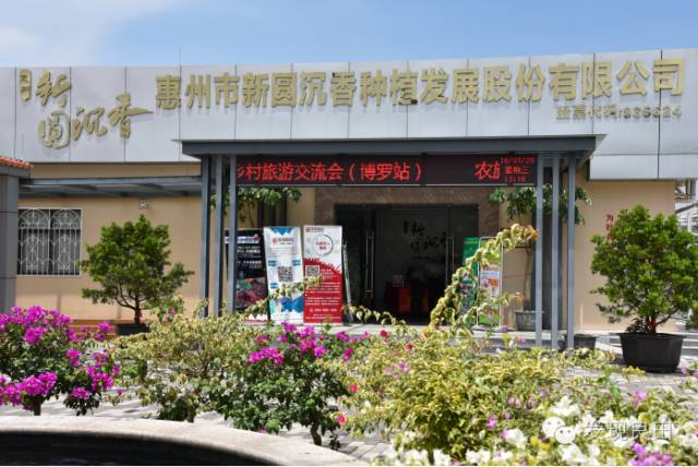 农旅一体化暨惠州乡村旅游交流会在惠州举行