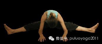 阴瑜伽全套体式--给全身经络做按摩
