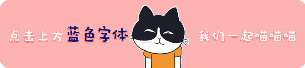 怀孕后留下我,你后悔过吗?