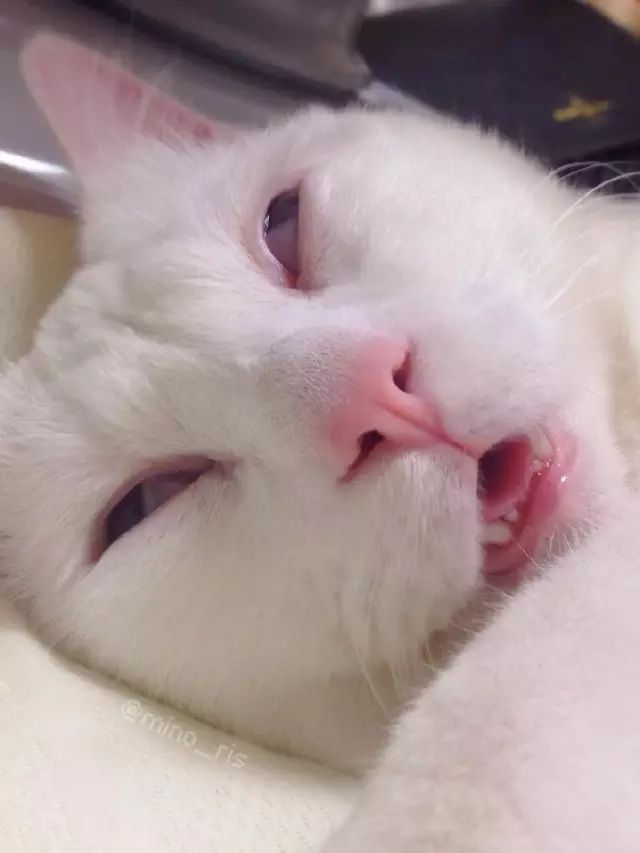 快醒醒啊!